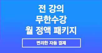 월 정액 패키지